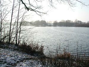 Foto der Rubbenbruchsee im Winter