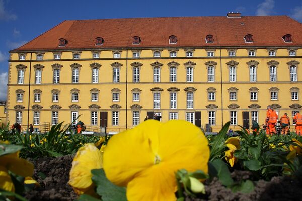 Schlossgartenbepflanzung leuchtendes Gelb.