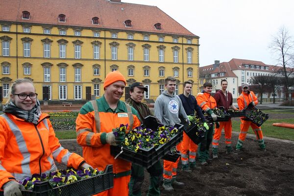 Frühjahrsbepflanzung Schlossgarten.