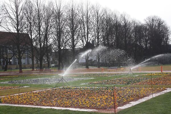 Frühlingsbepflanzung Schlossgarten 2017 Sprenkler.