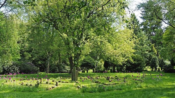 Johannisfriedhof Labyrinth mit Alium.