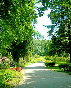 Foto Bürgerpark